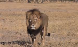 source:inquisitr.com